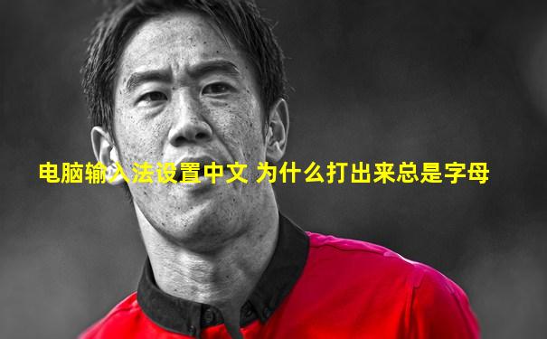 电脑输入法设置中文 为什么打出来总是字母